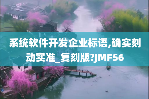 系统软件开发企业标语,确实刻动实准_复刻版?JMF56