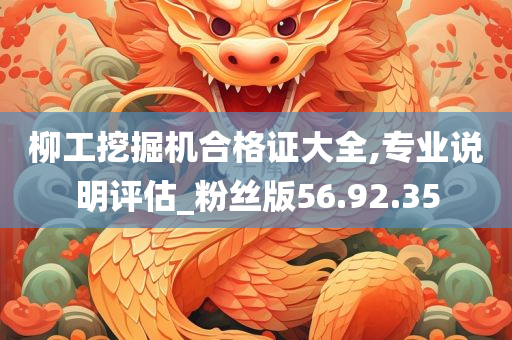 柳工挖掘机合格证大全,专业说明评估_粉丝版56.92.35