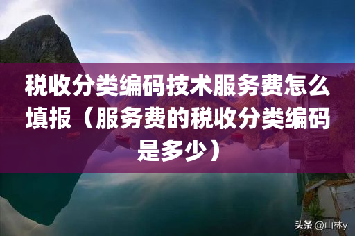 税收分类编码技术服务费怎么填报（服务费的税收分类编码是多少）