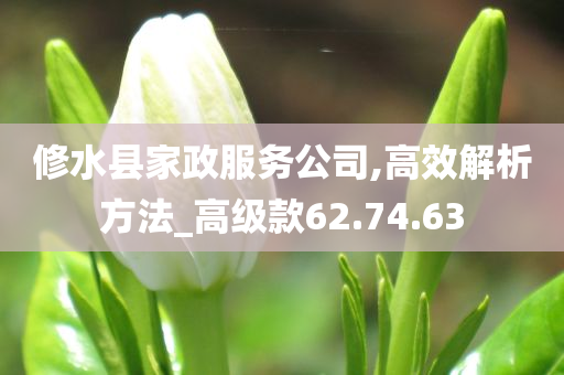 修水县家政服务公司,高效解析方法_高级款62.74.63