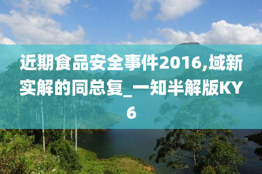 近期食品安全事件2016,域新实解的同总复_一知半解版KY6