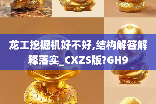 龙工挖掘机好不好,结构解答解释落实_CXZS版?GH9