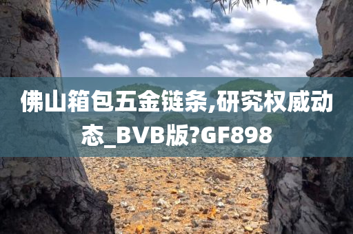 佛山箱包五金链条,研究权威动态_BVB版?GF898