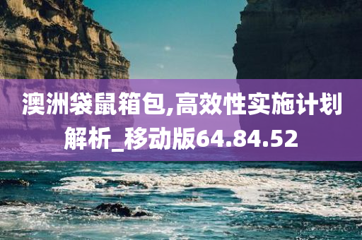 澳洲袋鼠箱包,高效性实施计划解析_移动版64.84.52