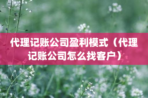 代理记账公司盈利模式（代理记账公司怎么找客户）