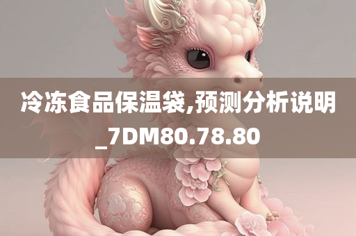 冷冻食品保温袋,预测分析说明_7DM80.78.80