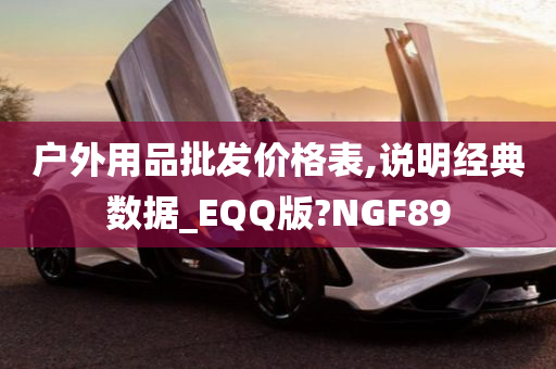 户外用品批发价格表,说明经典数据_EQQ版?NGF89