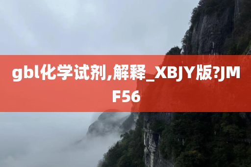 gbl化学试剂,解释_XBJY版?JMF56