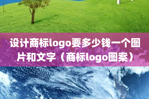 设计商标logo要多少钱一个图片和文字（商标logo图案）