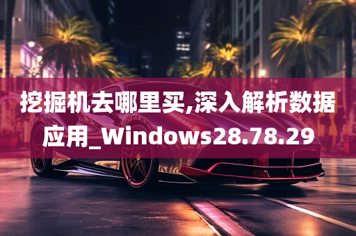 挖掘机去哪里买,深入解析数据应用_Windows28.78.29