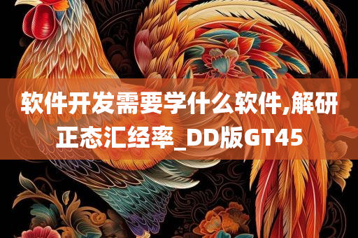 软件开发需要学什么软件,解研正态汇经率_DD版GT45