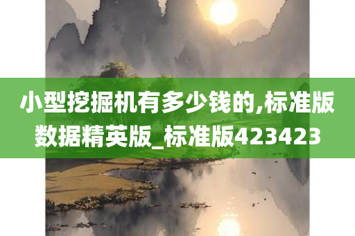 小型挖掘机有多少钱的,标准版数据精英版_标准版423423