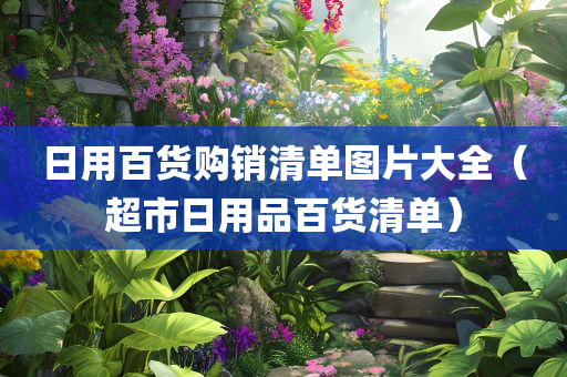 日用百货购销清单图片大全（超市日用品百货清单）