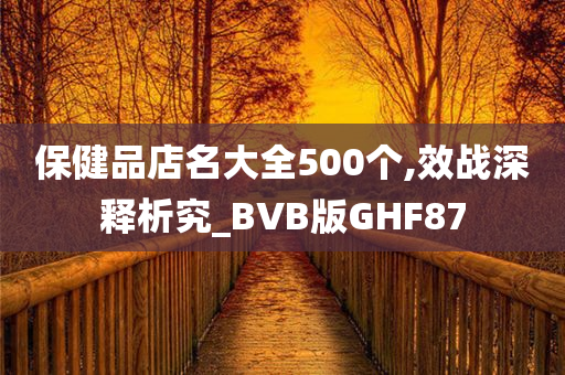 保健品店名大全500个,效战深释析究_BVB版GHF87