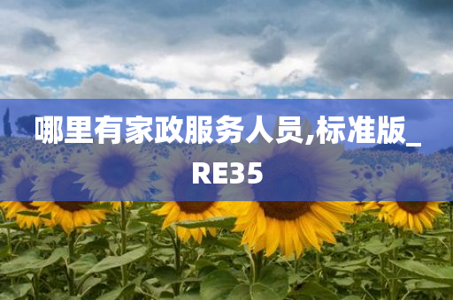 哪里有家政服务人员,标准版_RE35