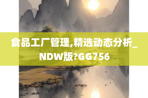 食品工厂管理,精选动态分析_NDW版?GG756