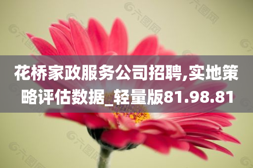 花桥家政服务公司招聘,实地策略评估数据_轻量版81.98.81