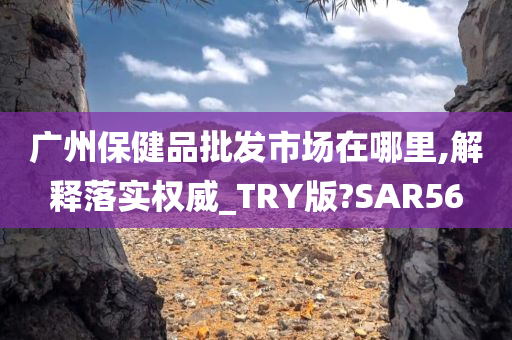 广州保健品批发市场在哪里,解释落实权威_TRY版?SAR56