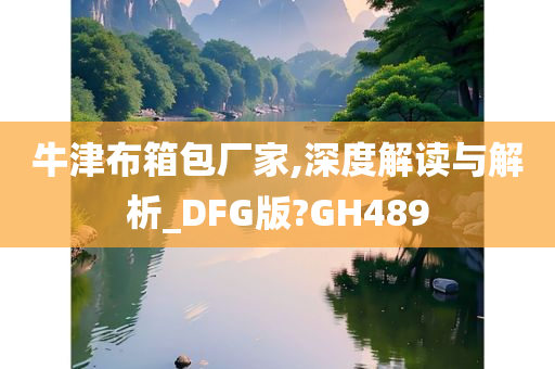 牛津布箱包厂家,深度解读与解析_DFG版?GH489