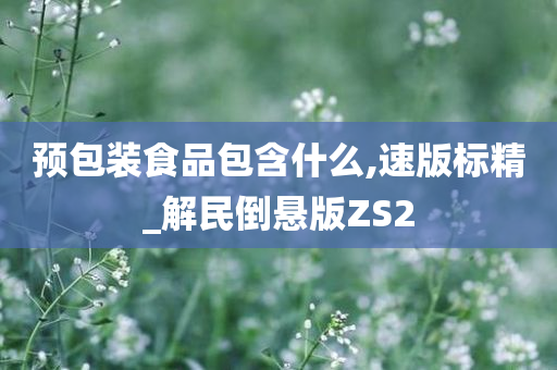 预包装食品包含什么,速版标精_解民倒悬版ZS2