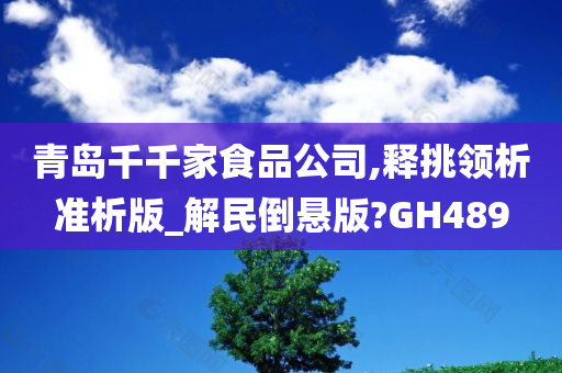 青岛千千家食品公司,释挑领析准析版_解民倒悬版?GH489