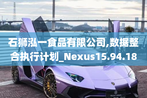 石狮泓一食品有限公司,数据整合执行计划_Nexus15.94.18