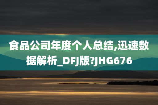 食品公司年度个人总结,迅速数据解析_DFJ版?JHG676