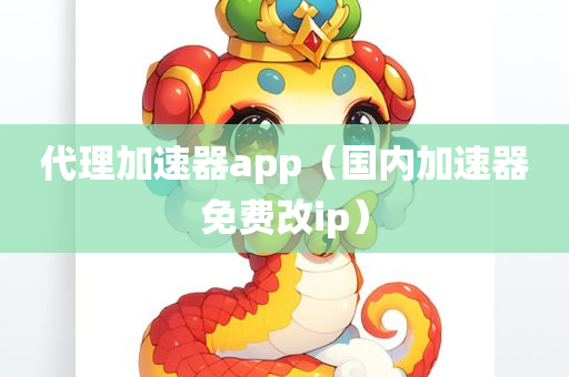 代理加速器app（国内加速器免费改ip）