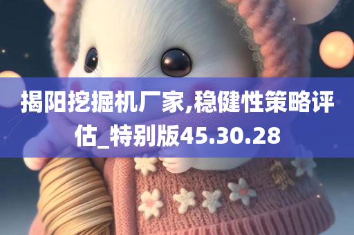 揭阳挖掘机厂家,稳健性策略评估_特别版45.30.28