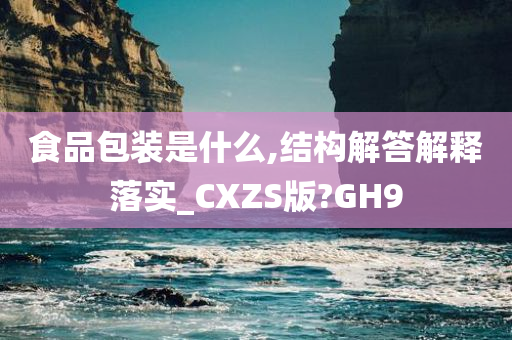 食品包装是什么,结构解答解释落实_CXZS版?GH9