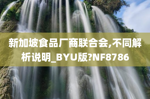 新加坡食品厂商联合会,不同解析说明_BYU版?NF8786