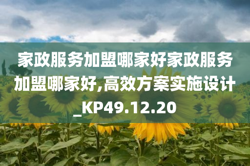 家政服务加盟哪家好家政服务加盟哪家好,高效方案实施设计_KP49.12.20