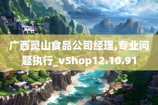 广西灵山食品公司经理,专业问题执行_vShop12.10.91