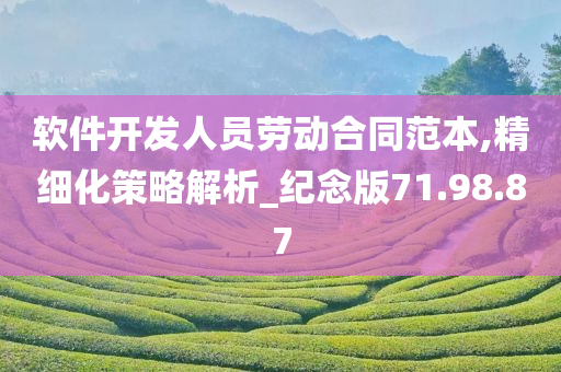 软件开发人员劳动合同范本,精细化策略解析_纪念版71.98.87