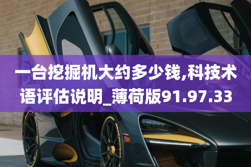 一台挖掘机大约多少钱,科技术语评估说明_薄荷版91.97.33