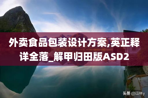 外卖食品包装设计方案,英正释详全落_解甲归田版ASD2