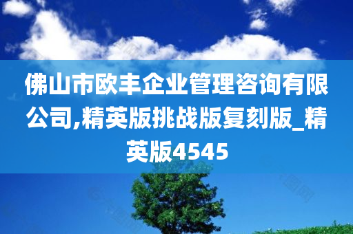 佛山市欧丰企业管理咨询有限公司,精英版挑战版复刻版_精英版4545