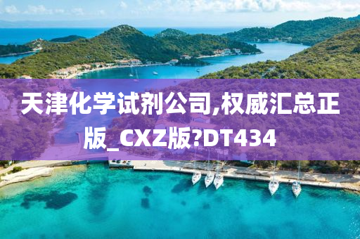 天津化学试剂公司,权威汇总正版_CXZ版?DT434