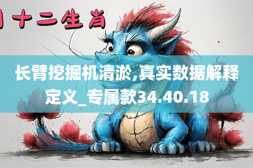 长臂挖掘机清淤,真实数据解释定义_专属款34.40.18