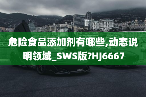 危险食品添加剂有哪些,动态说明领域_SWS版?HJ6667