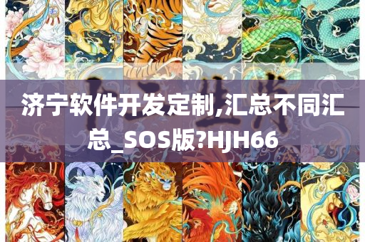 济宁软件开发定制,汇总不同汇总_SOS版?HJH66