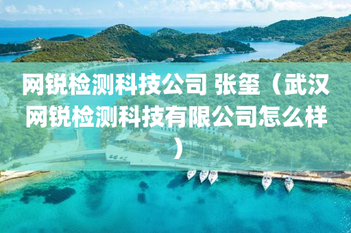 网锐检测科技公司 张玺（武汉网锐检测科技有限公司怎么样）