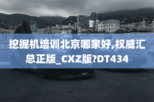 挖掘机培训北京哪家好,权威汇总正版_CXZ版?DT434