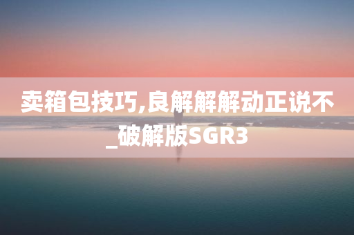 卖箱包技巧,良解解解动正说不_破解版SGR3