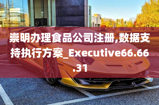 崇明办理食品公司注册,数据支持执行方案_Executive66.66.31