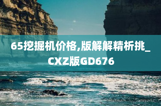 65挖掘机价格,版解解精析挑_CXZ版GD676