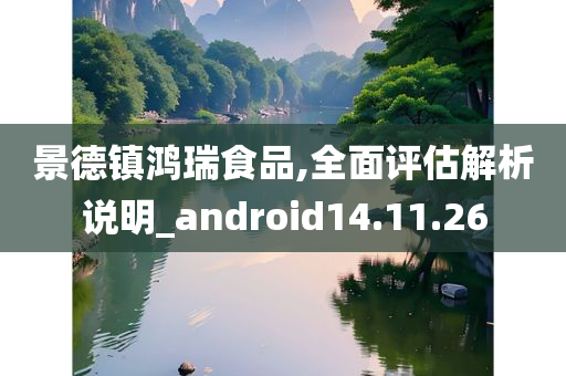 景德镇鸿瑞食品,全面评估解析说明_android14.11.26