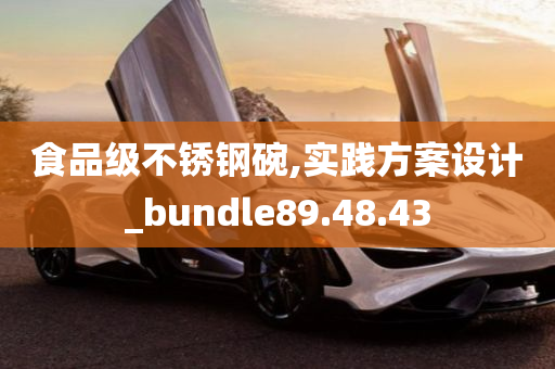 食品级不锈钢碗,实践方案设计_bundle89.48.43