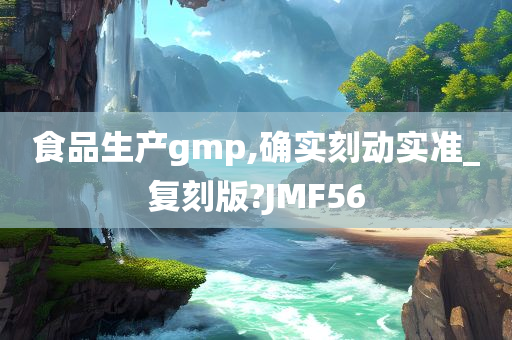 食品生产gmp,确实刻动实准_复刻版?JMF56