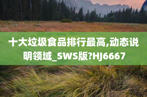 十大垃圾食品排行最高,动态说明领域_SWS版?HJ6667